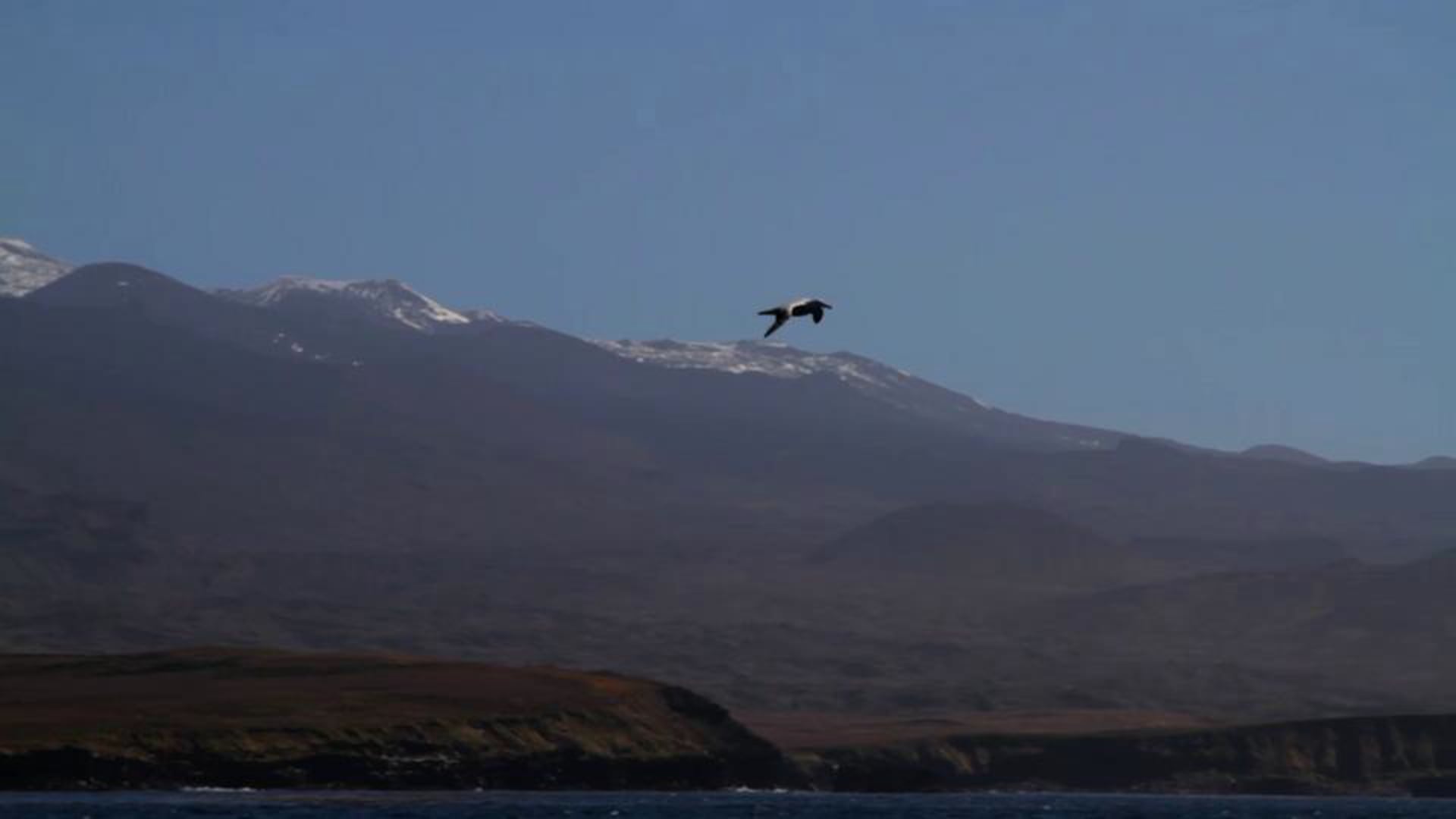 The Landscapes of Prince Edward Islands - Dream of Flying