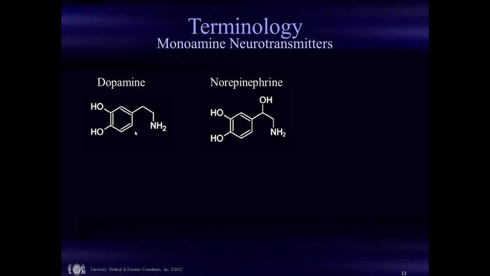 SLF COCAINE AMPHETAMINE METHAMPHETAMINE