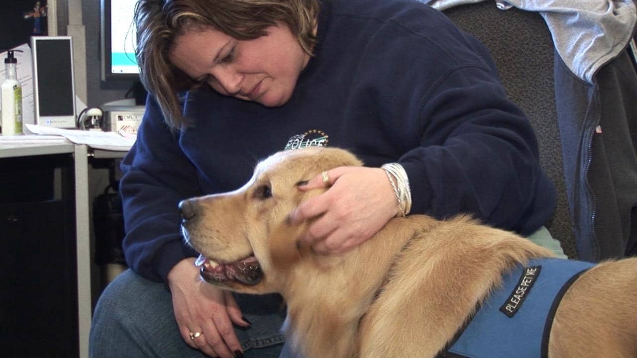 K-9 Comfort Dog Ministry on Vimeo