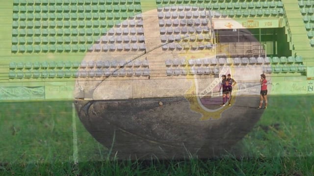 Palencia Rugby Club