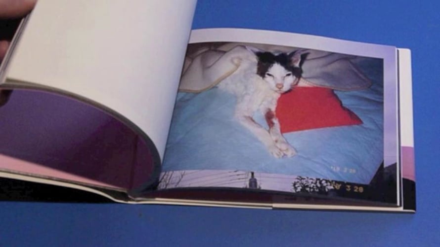 荒木経惟　Araki: Love and Death Love and Death - 荒木 経惟 / Nobuyoshi Araki