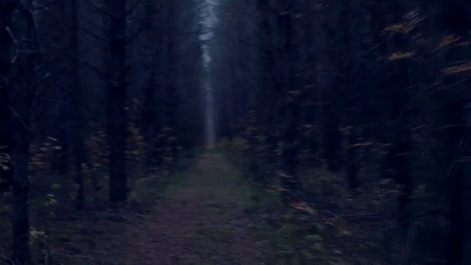 vimeo.com