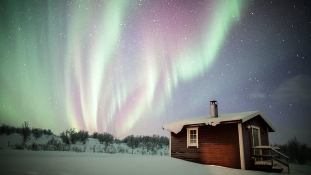 Trees, Stars, Aurora!