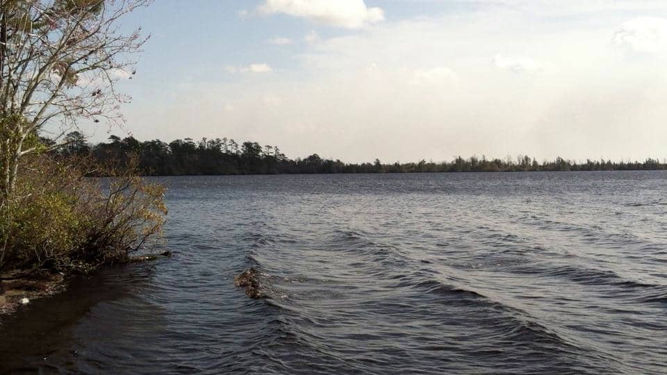 Catfish Lake, Croatan National Forest, North Carolina on Vimeo