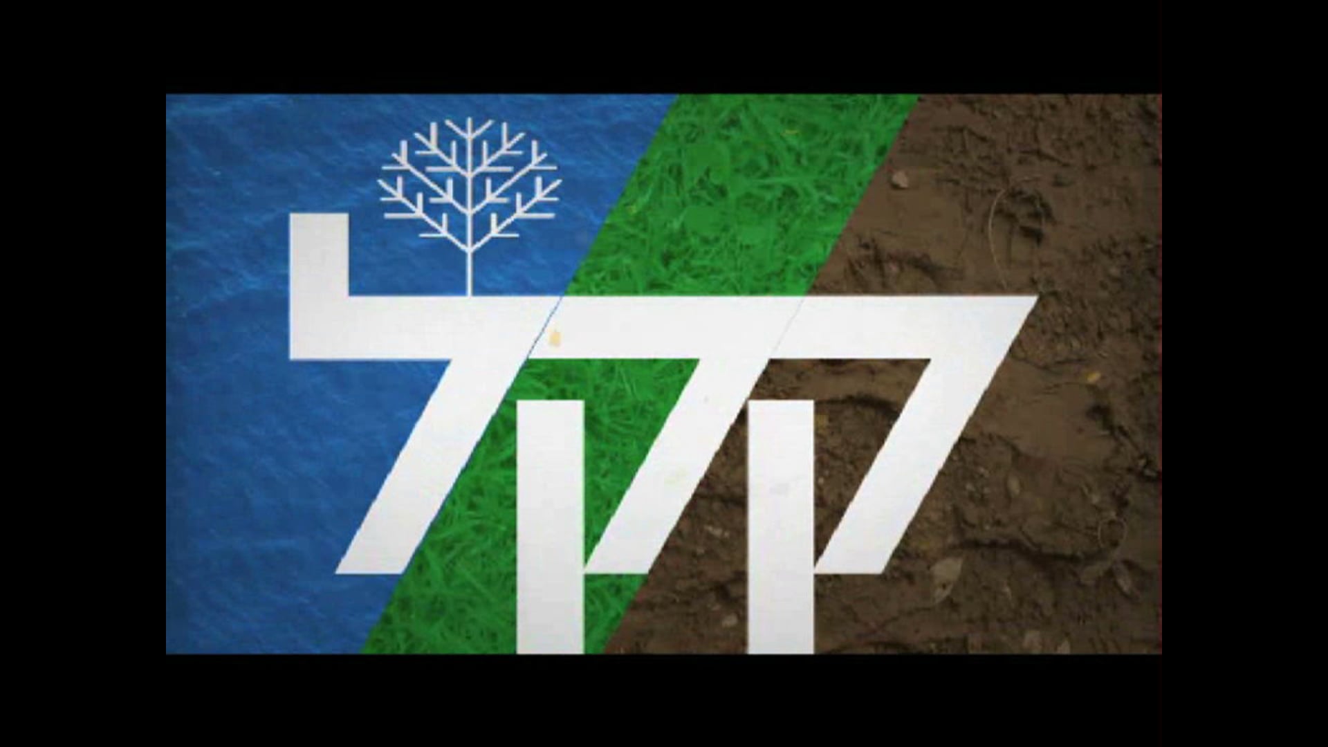 תדמית קק"לֹ