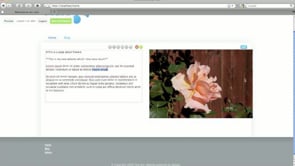 Halogy Fans | The Free CMS for Designers