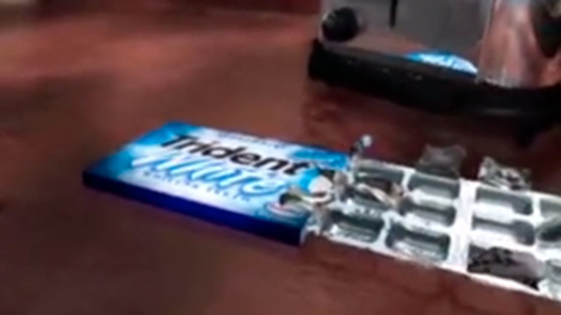 Trident White Kitchen