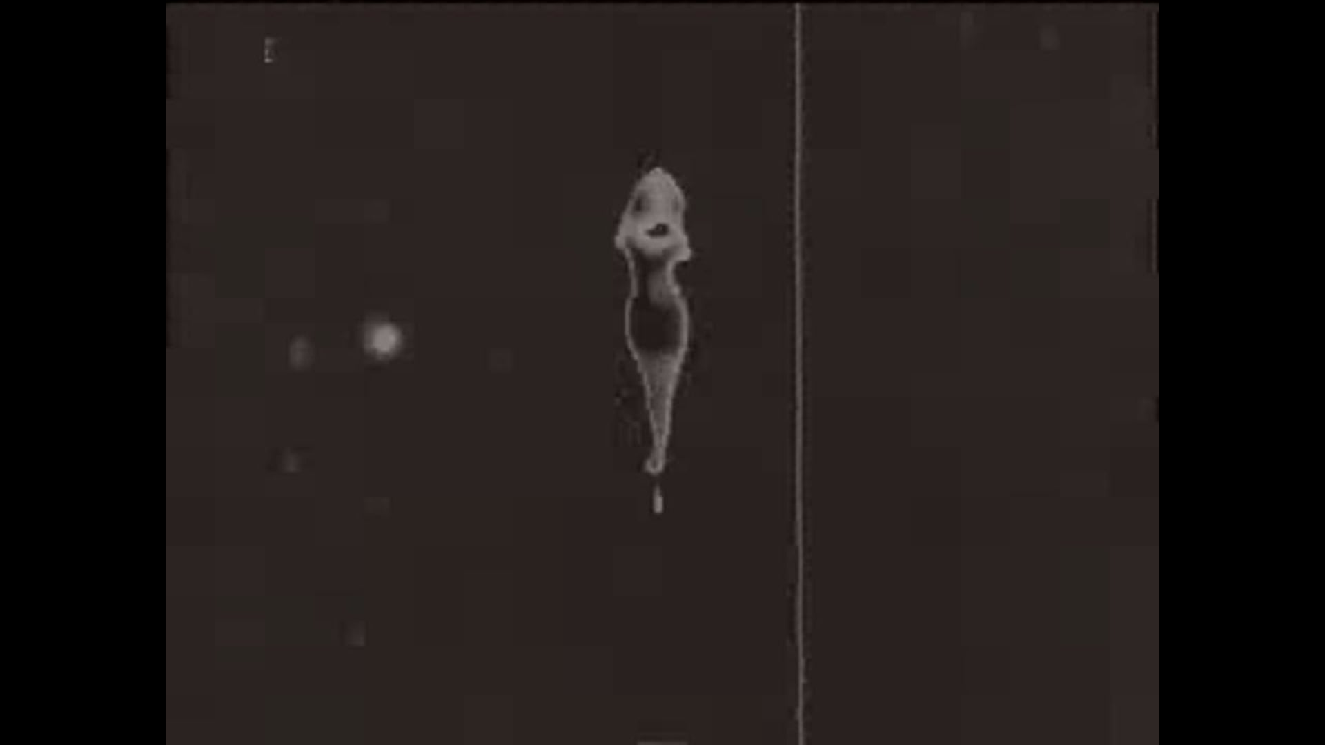 Style Men's Hair Salon