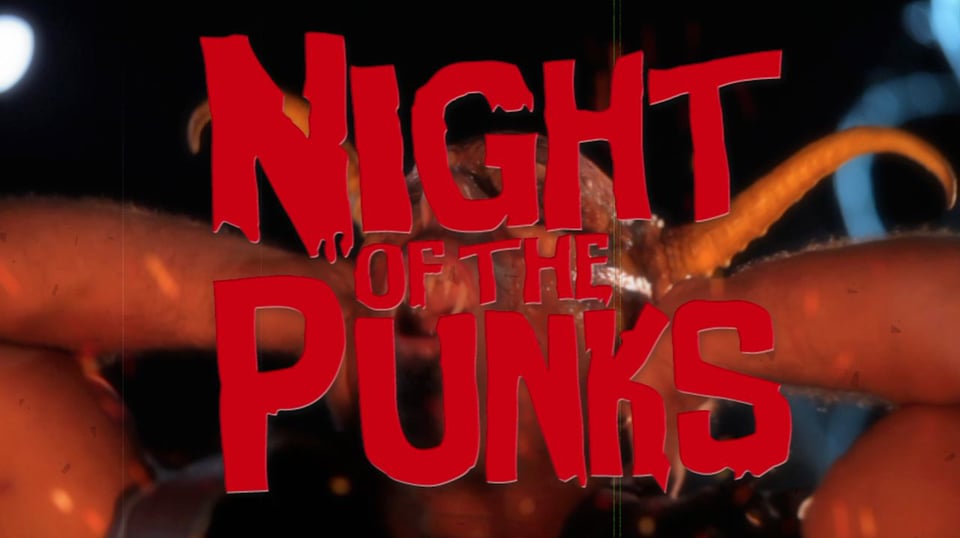 NIGHT OF THE PUNKS (2010)