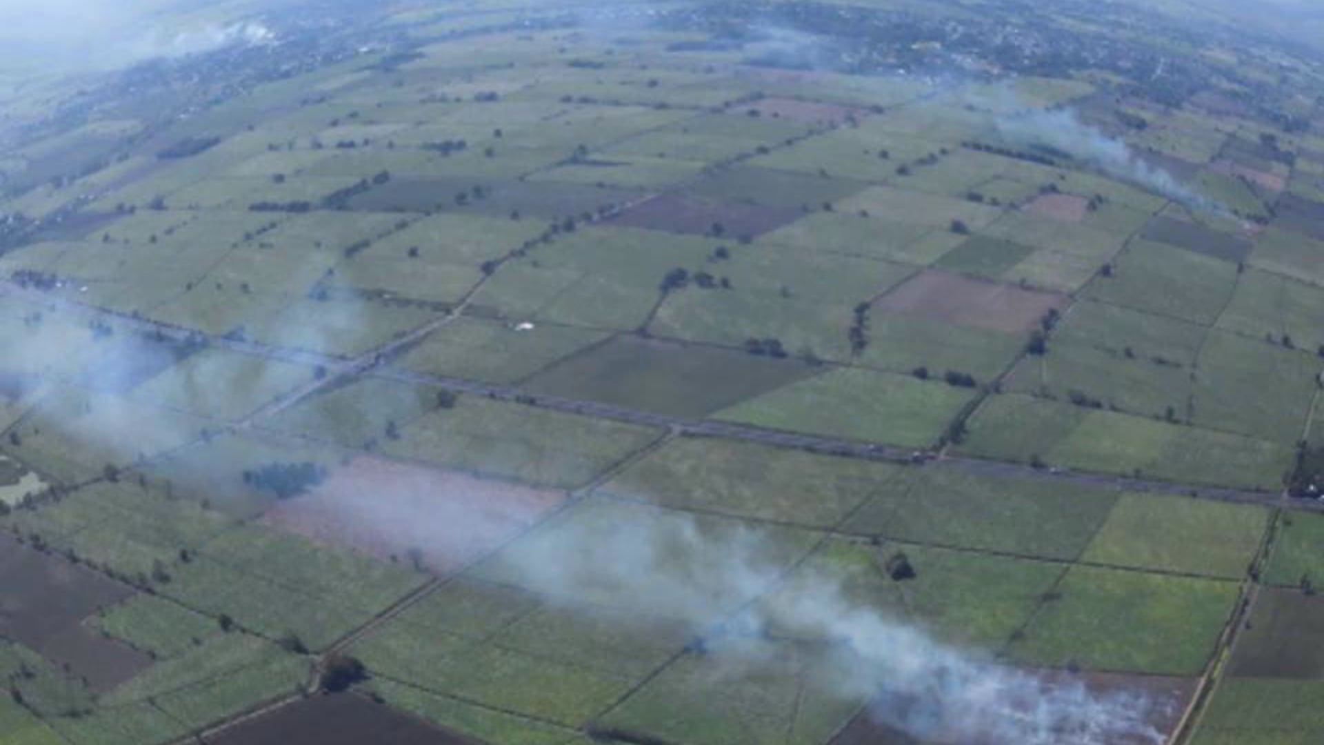 "Humedales herbáceos: un proyecto de restauración (2007-2011)"  ( I )