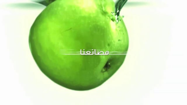 Al Rabie Corporate Arabic