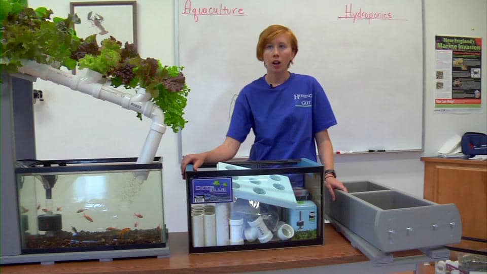 Herring Gut Aquaponics Kit Instructional Video on Vimeo