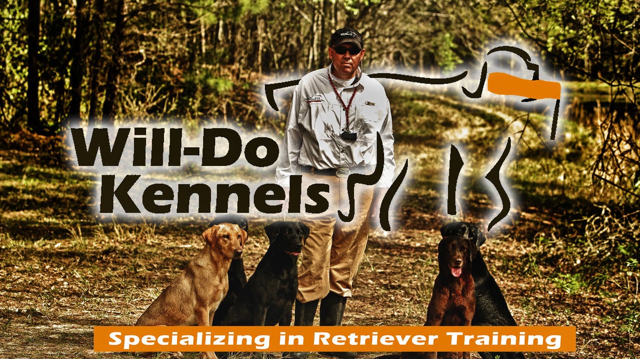 will-do-kennels-on-vimeo