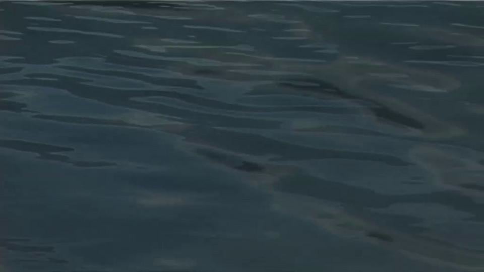 Water Light on Vimeo