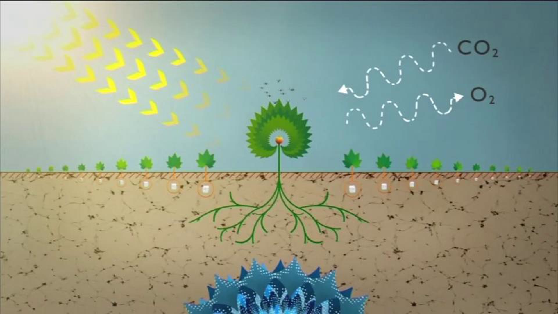 Toyota, Green Design, 'Sugar Battery'.