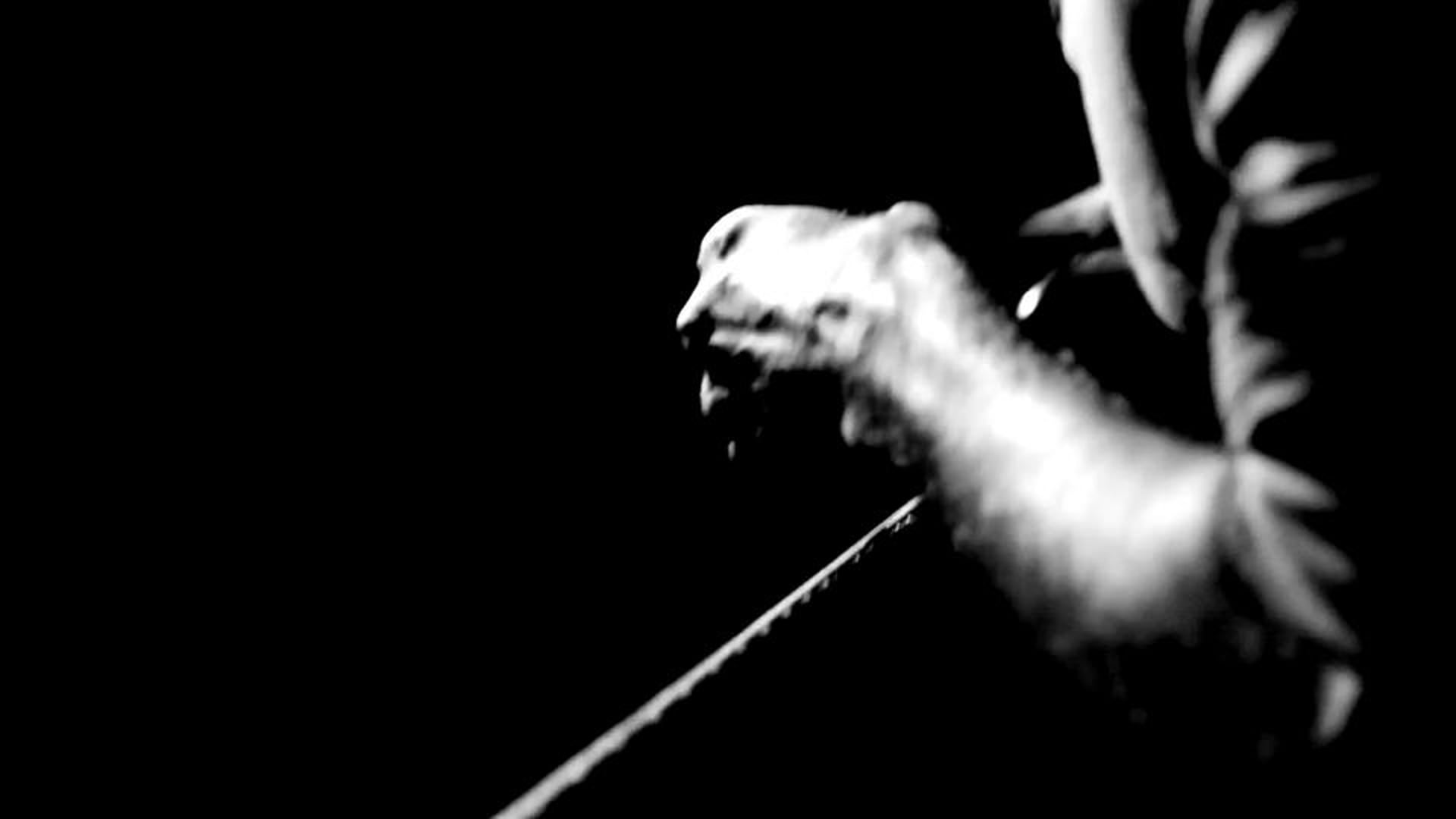 Enter The Catacomb - Trailer