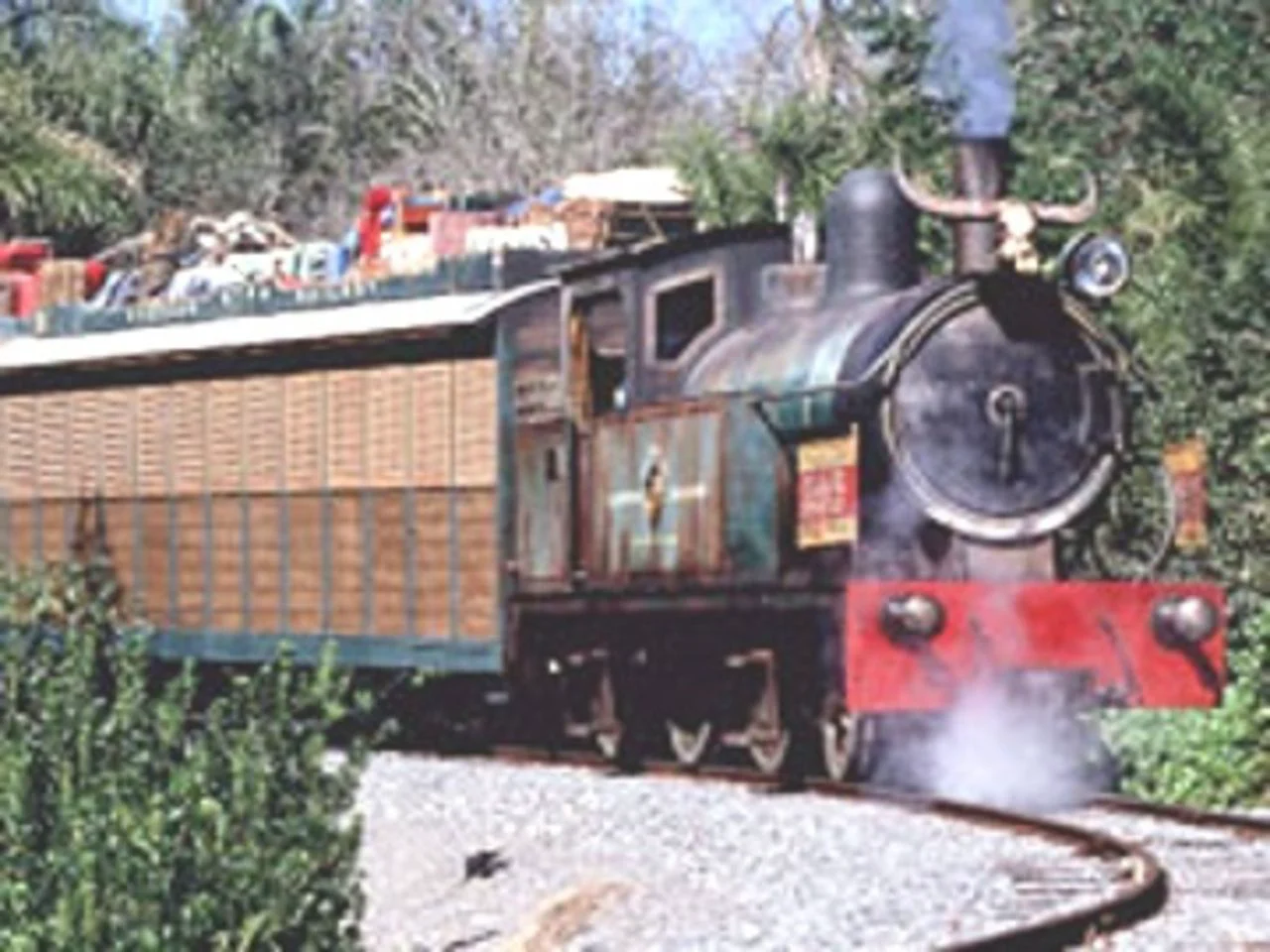 Wildlife express store train animal kingdom