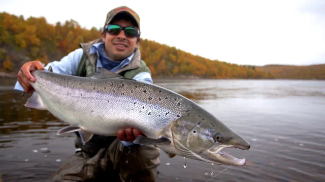 Atlantic Salmon River Fishing