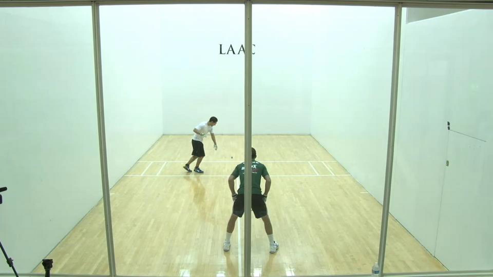 2012 LAAC - FINK VS PEREZ