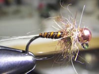 Brown Quill Jig Nymph