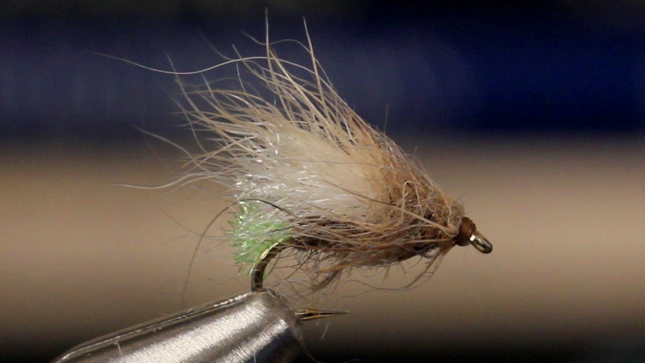 Egg Laying Grannom Caddis - Image source: Tightline Productions