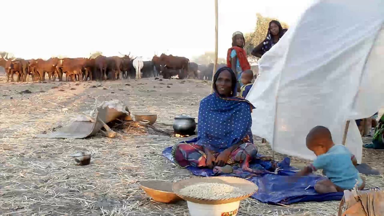 Climate Governance: A matter of survival for nomadic pastoralists