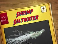 Shrimp Saltwater