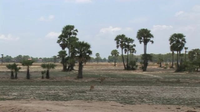 UNESCAP:  Saemaul Undong in Cambodia