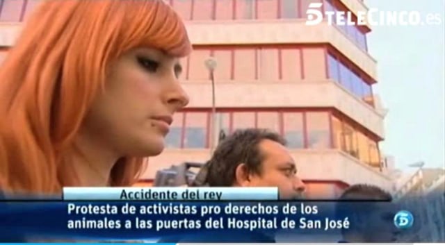 Informativos Telecinco – Protesta de Igualdad Animal y Equanimal contra la caza ante el hospital donde está el Rey ingresado.