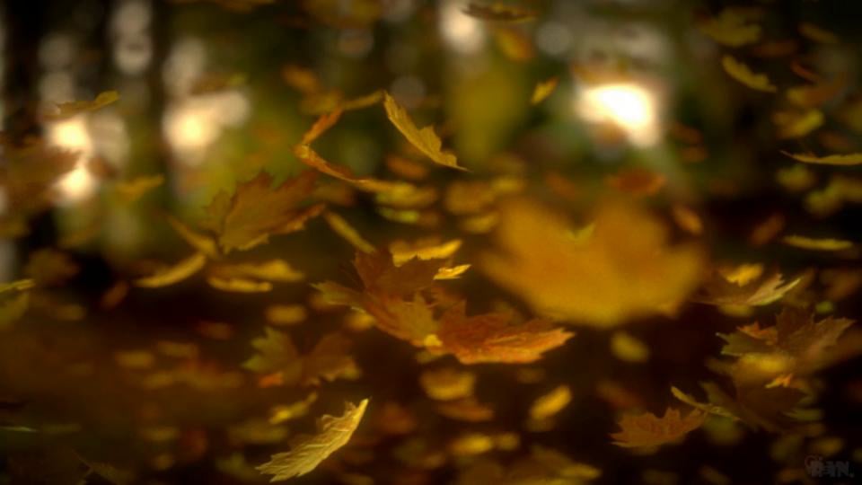 Fall on Vimeo