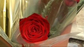 Sant Jordi molt variada