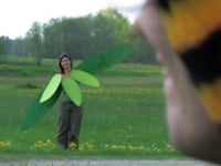 Der Bienenfilm