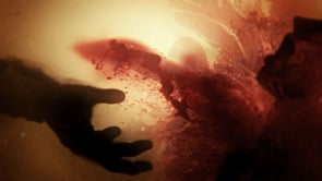 Fluids, Dynamics, Organics