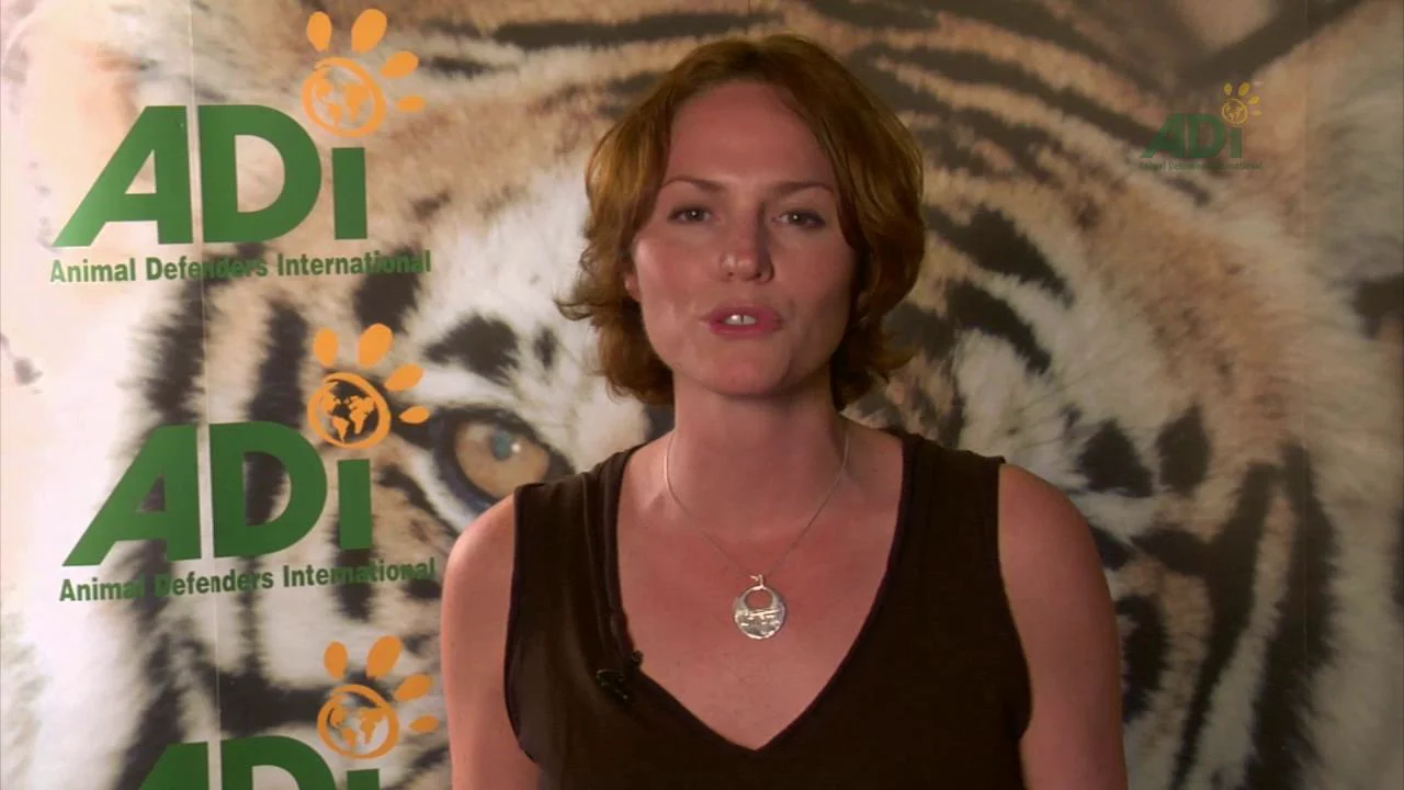 Jorja Fox on Circus Animal Suffering and the Traveling Exotic Animal  Protection Act, image size:1280x720