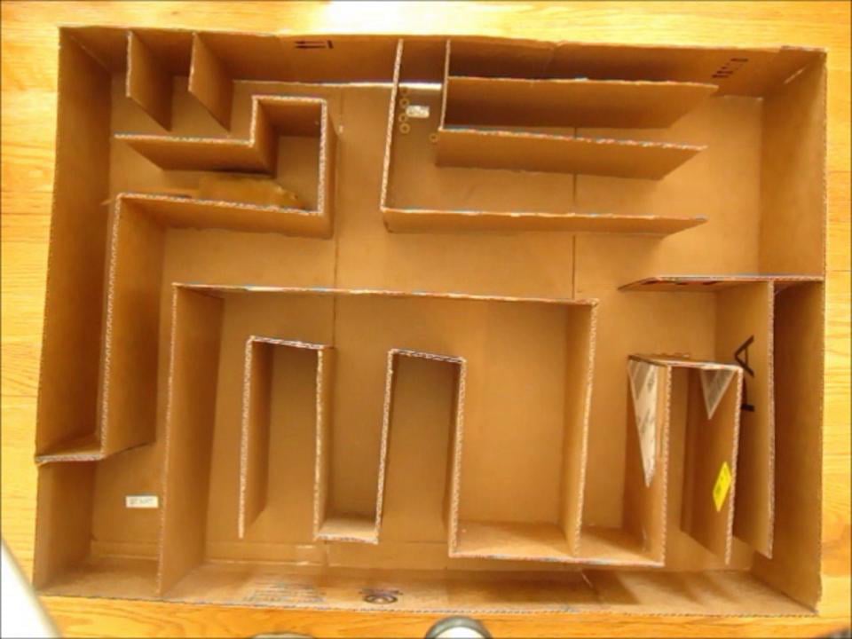 Gerbil Maze on Vimeo