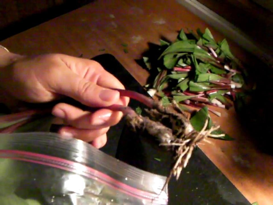 how to prepare ramps on Vimeo