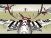 Millencolin "Ray" musicvideo