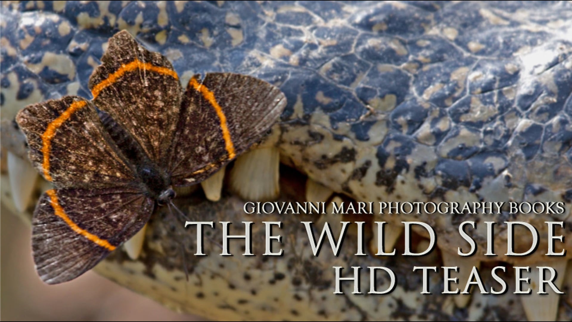 THE WILD SIDE Book Teaser - Giovanni Mari
