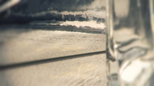 Anne Waldman / projection / Did DiE