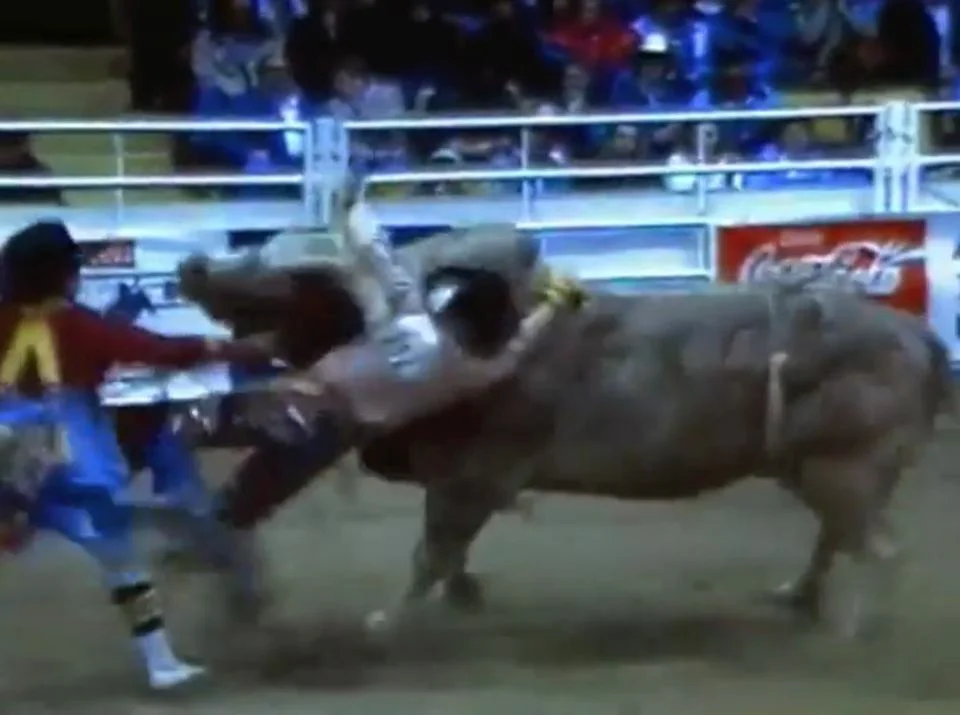Bull Riding Wrecks (Ukraine Version) on Vimeo