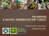 2011_7: Faith Inman-Narahari "Natural Regeneration in the Native-dominated Dry Forest at Palamanui"
