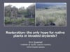 2011_3: Dr. Erin J. Questad "Restoration: The only Hope for Native Plants in Invaded Drylands?"