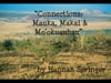 2012_2: Hannah Kihalani Springer "Connections: Mauka, Makai and Mo'okuauhau"