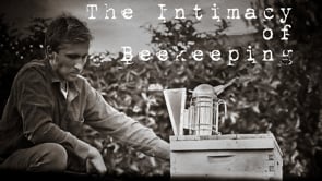 The Intimacy of Beekeeping
