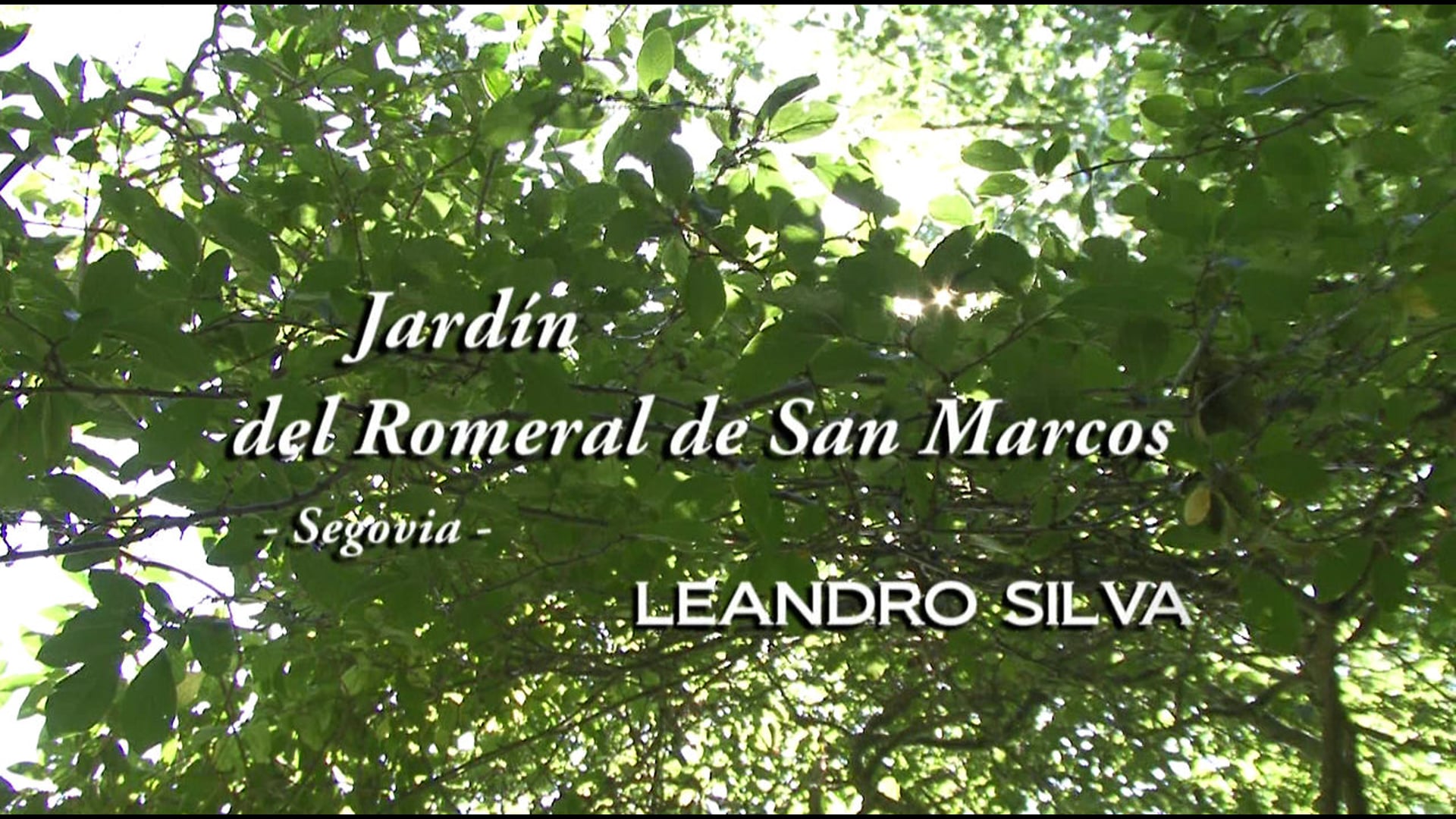 Jardín Romeral de San Marcos - Audiovisual Exposición Leandro Silva