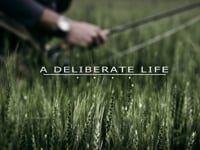A DELIBERATE LIFE (video promotion)