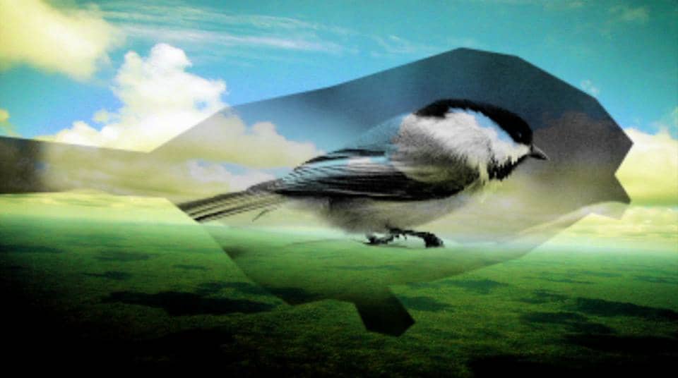 [GWN] If These Wings Could Fly