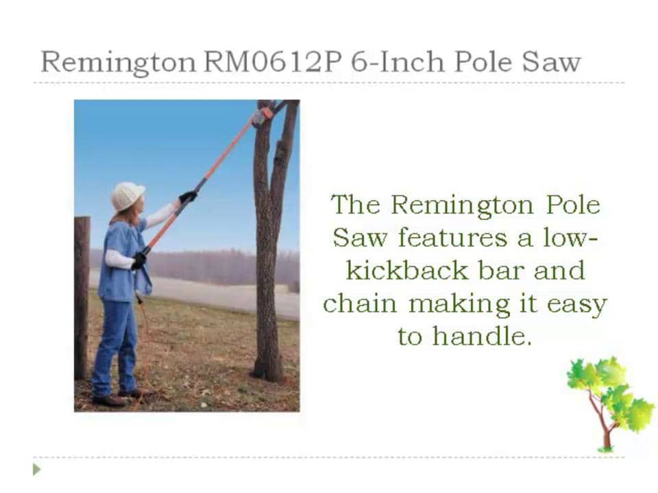 Remington RM0612P Branch Wizard Electric Pruning Pole Saw July 2012 on
