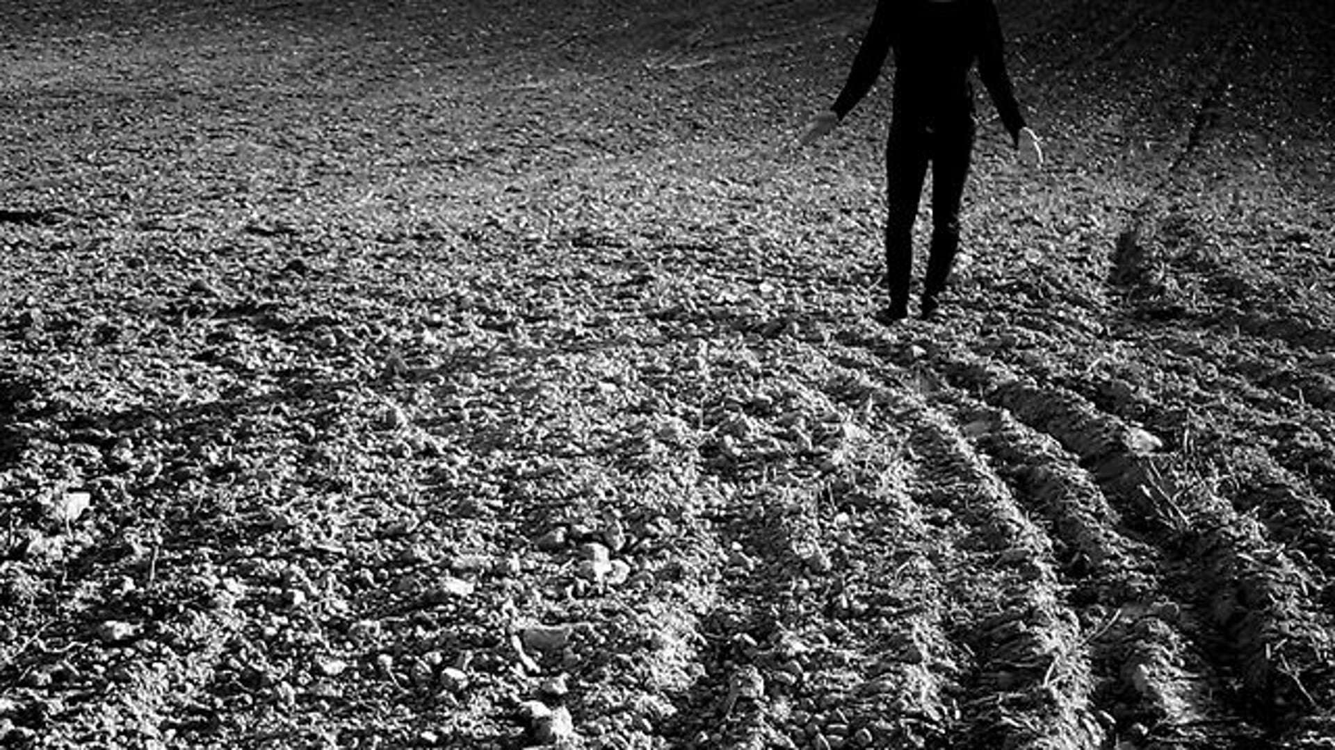 Fragile Soul / Heavy Heart - by Dust Covered Carpet