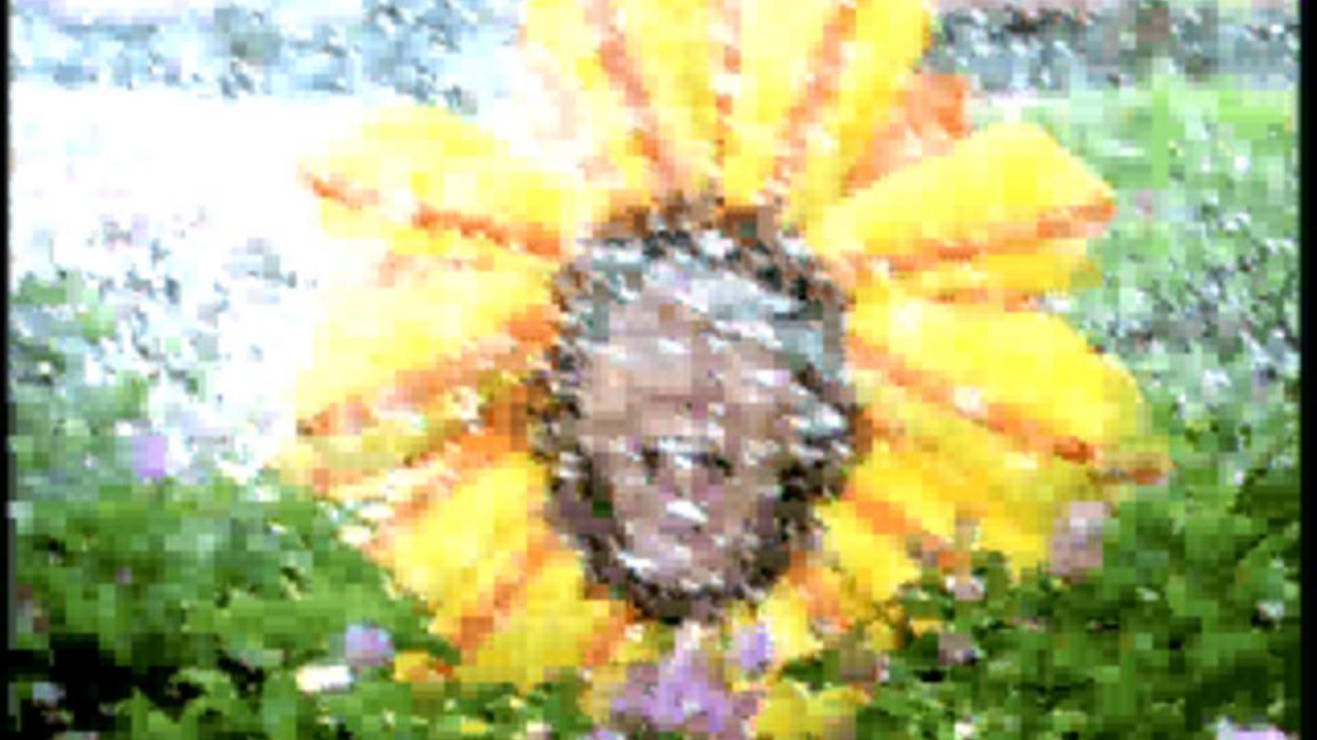 Wild Wild Wet TV Commercial